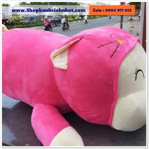 Gấu Bông Teddy Hàn Quốc - GAU50